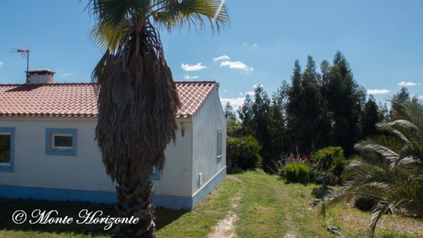 Casa Borboleta Vogelreis Portugal